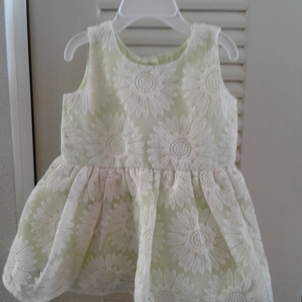 Little Girls Dress from The Childrens Place